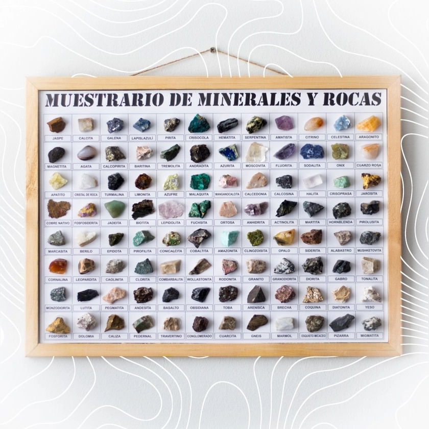 Muestrario 96 piezas Minerales y Rocas