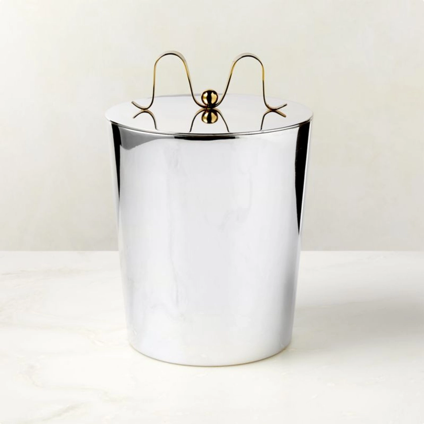 Boule Stainless Steel Ice Bucket + Reviews | CB2