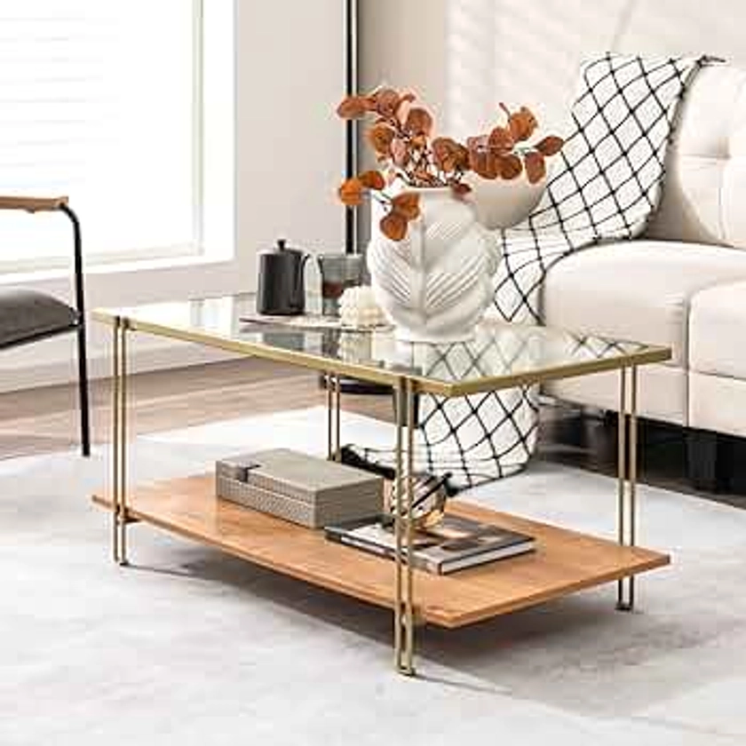 Tangkula Glass Coffee Table, 40In Mid Century 2 Tier Rectangle Coffee Table, Tempered Glass Top & Wood Storage Shelf, Steel Frame, Adjustable Feet, Modern Cocktail Accent Table for Living Room (Gold)