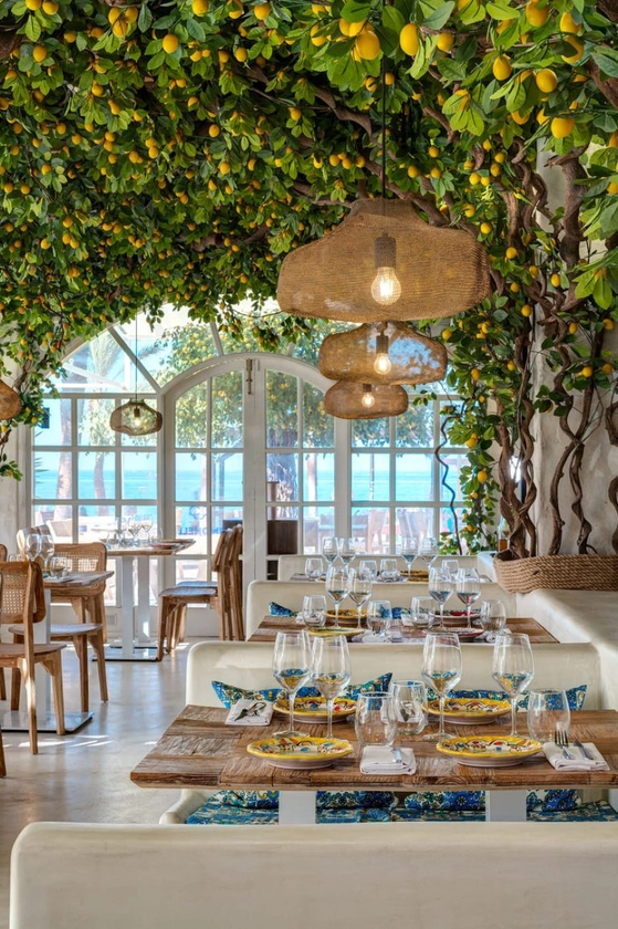 LiMonella · Amalfi Coast Trattoria | Restaurante Italiano