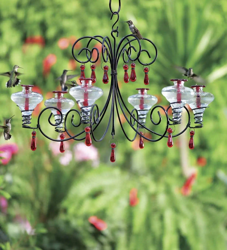 Glass Hummingbird Feeder, Mini Blossom Grand Chandelier | Wind and Weather