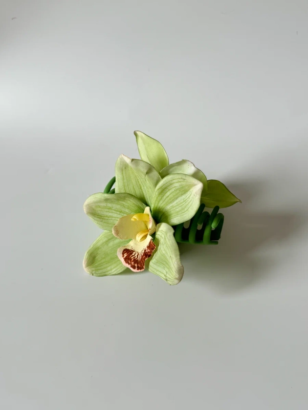 preorder single green cymbidium orchid claw