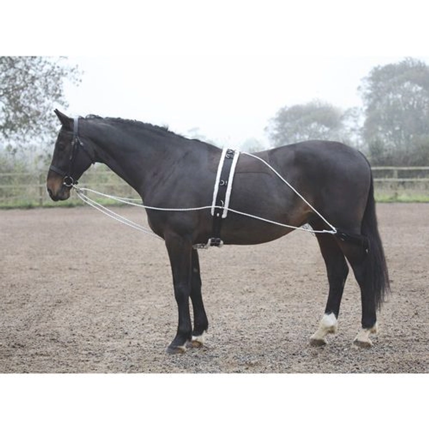 Shires Lunging Aid | Dover Saddlery
