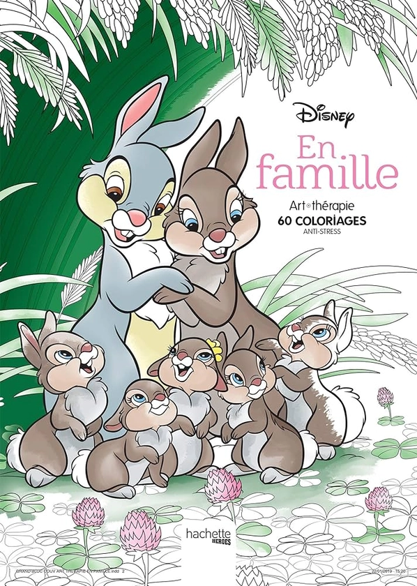 Disney En famille : COLLECTIF: Amazon.fr: Livres