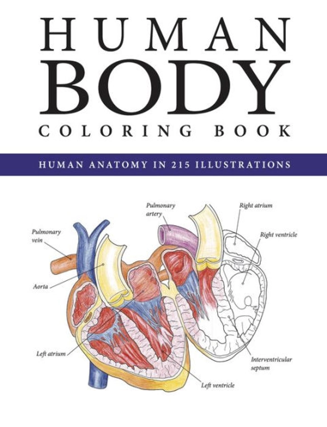 The Human Body Coloring Book|Paperback