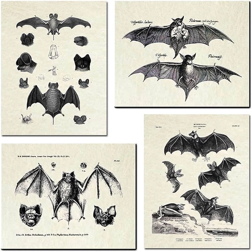 Amazon.com: KIHOARL 4 Pcs Bats Wall Decor Bats Wall Art Canvas Print,Vintage Retro Hipster Gothic Wall Decor Goth Art Gothic Gifts Creepy Scary Anatomical Picture Poster for Home Living Room Bedroom Office: Posters & Prints