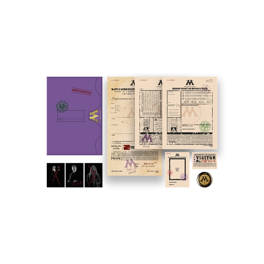 Ministry of Magic Folder and Badge