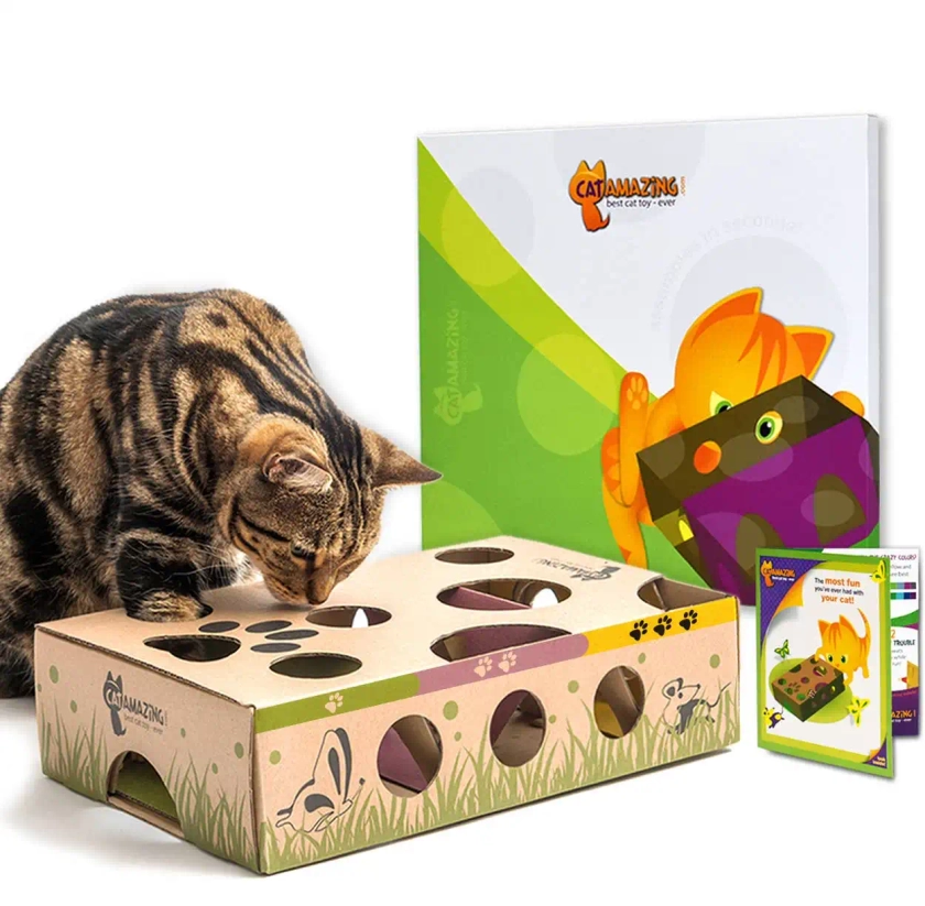 Cat Amazing - Classic Interactive Cat Toy and Puzzle Feeder - Katzenworld Shop