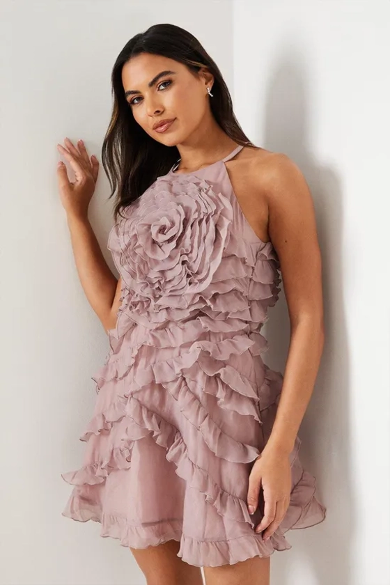 Dresses | Rose Ruffle Mini Dress | Coast