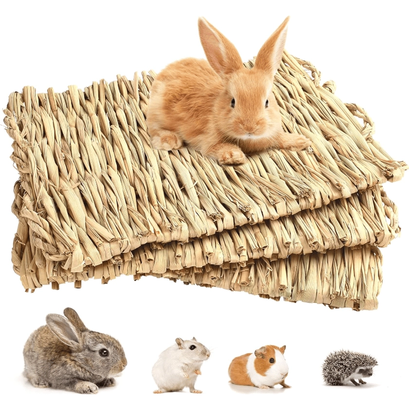 1PC Grass Mat For Rabbits Bunny, Woven Hay Mat For Small Animals, Straw Bedding Resting Cage Mat For Guinea Hamster Parrot Chinchilla Hamster Rat