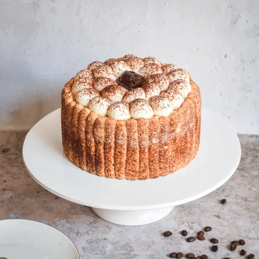 Charlotte façon tiramisu