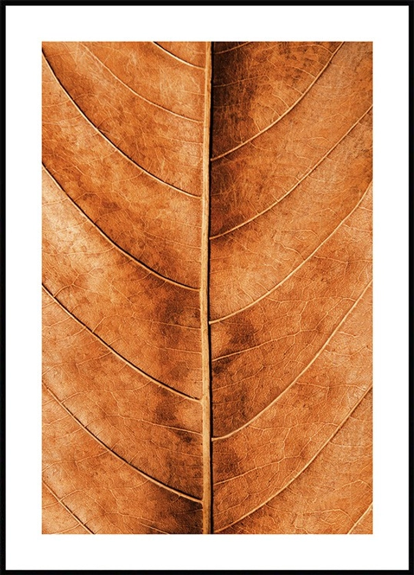 Feuille d'Automne Poster