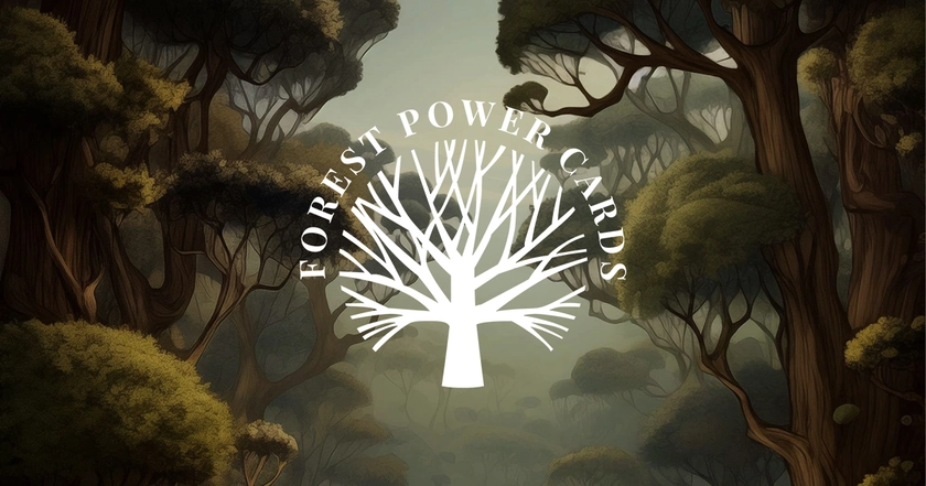 Forest Power Cards - Go to the forest ‣ Sit down ‣ Draw a card