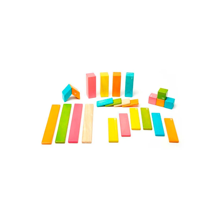 24-Piece Set Magnetic Wooden Blocks Tegu Classics at Tegu Toys