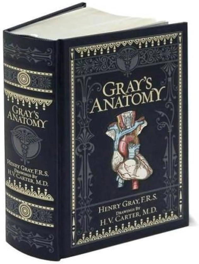 Gray's Anatomy by Henry Gray New Leatherbound Sealed Collectible Illustrated