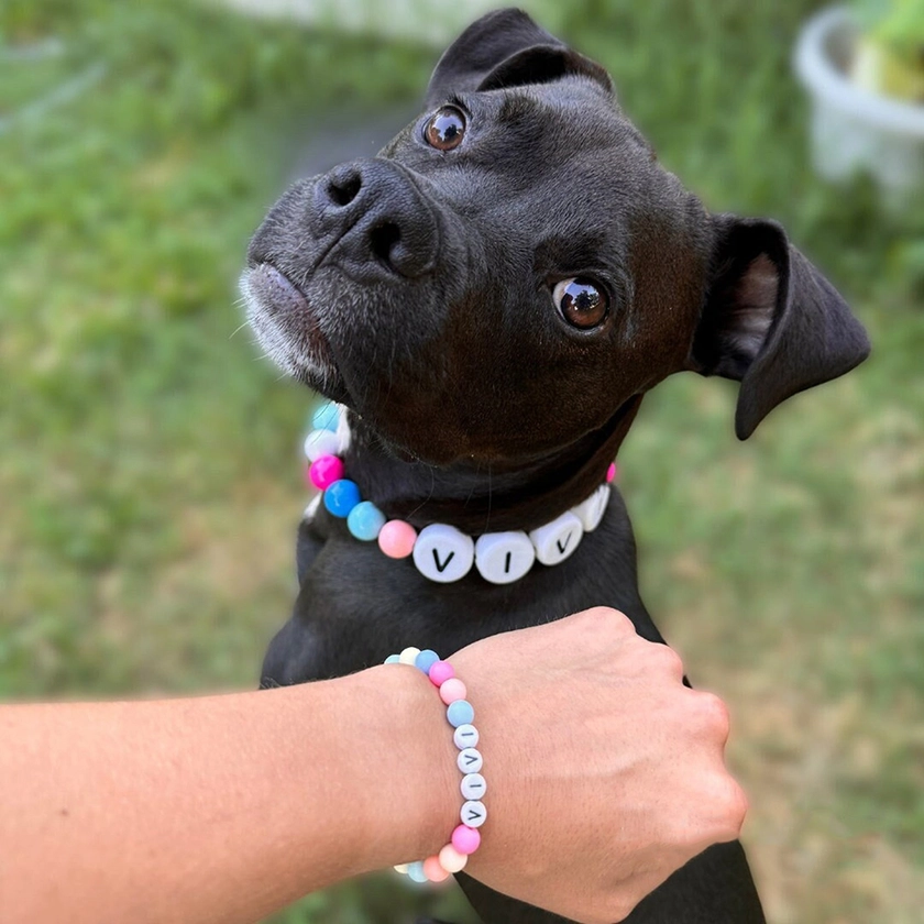 Personalized Bracelet - Match Your Dog or Cat Collar