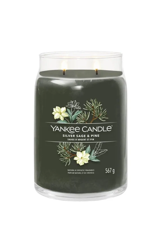 Home Fragrance | Silver Sage & Pine Signature Large Jar Candle | Yankee Candle