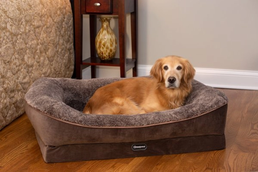 BEAUTYREST Ultra Plush Cuddler Dog & Cat Bed, Brown, Large - Chewy.com