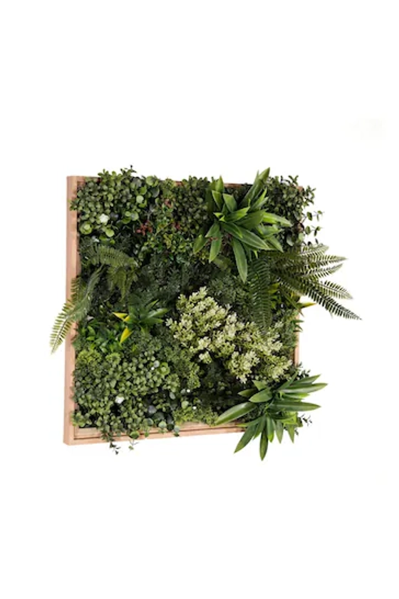 Buy Premier Decorations Ltd Green 50x50cm Jade Envy Artificial Garden Wall Art from the Next UK online shop