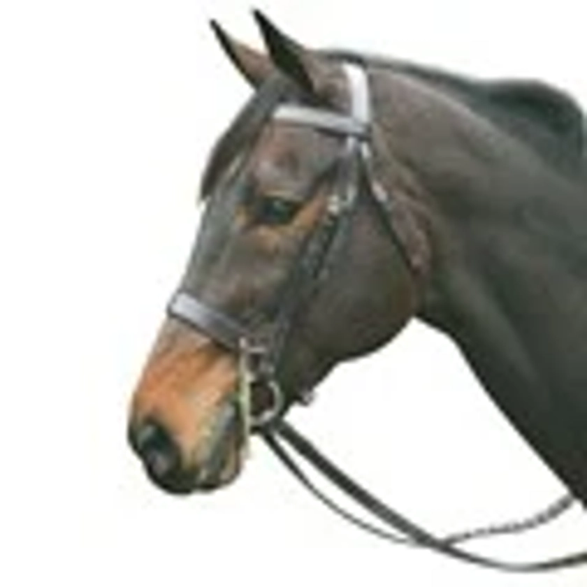 Henri de Rivel Advantage Hunt Bridle