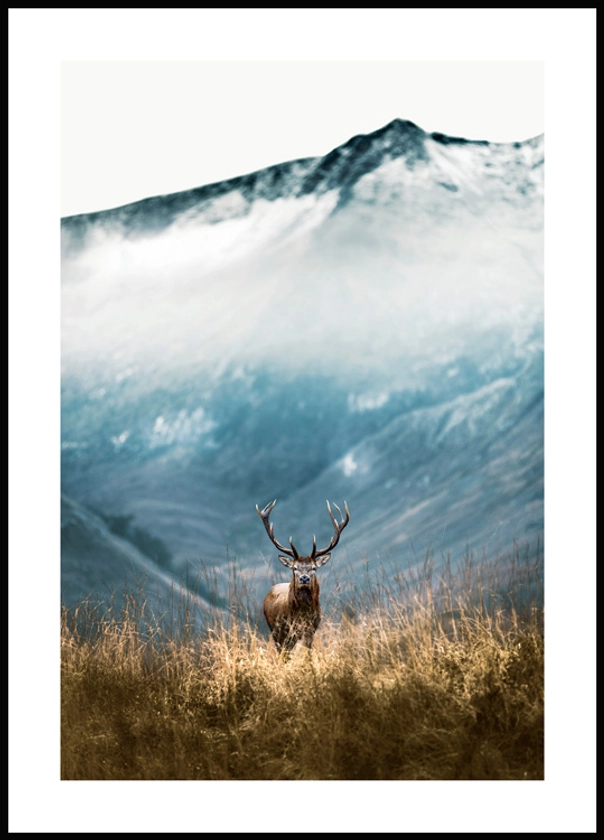 Cerf Montagne Poster