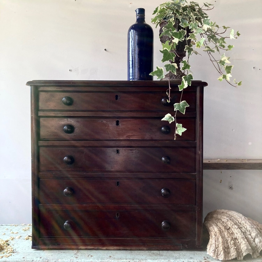 Mahogany Bank of Drawers — SJL Featherstone