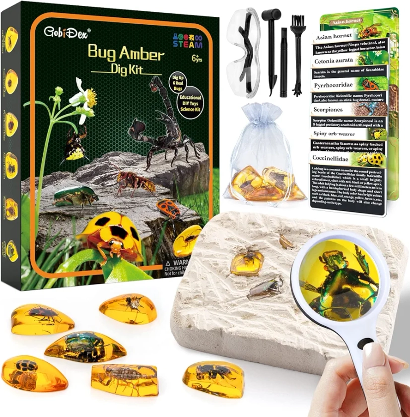 GobiDex Amber Dig Kit-Artificial Insect Resin, Excavate 6 Insects Specimens, STEM Geographic Educational Bugs Toys, Excavation Toys for Fun Bugs Party Favors, Science Kits for Kids Age 6-8 8-12