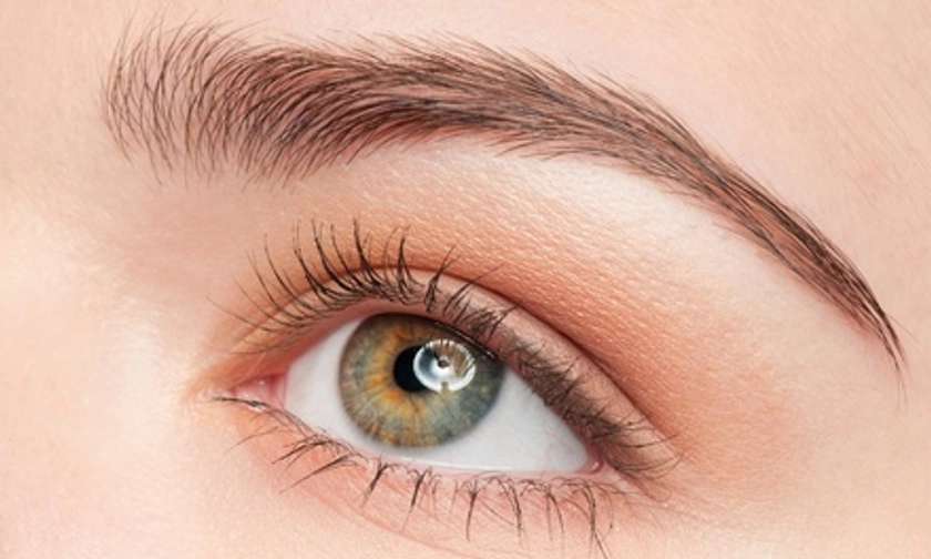 Up to 45% Off on Eyebrow Tinting at Permanent Beauty by Diana