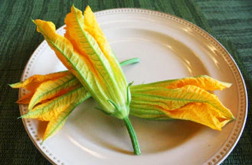 Squash Blossom