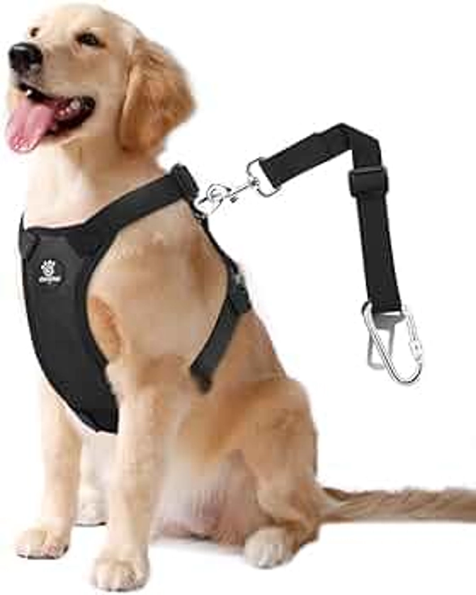 Dog Vehicle Safety Vest Harness, Adjustable Soft Padded Mesh Car Seat Belt Leash Harness with Travel Strap and Carabiner for Most Cars, Size Large, Black