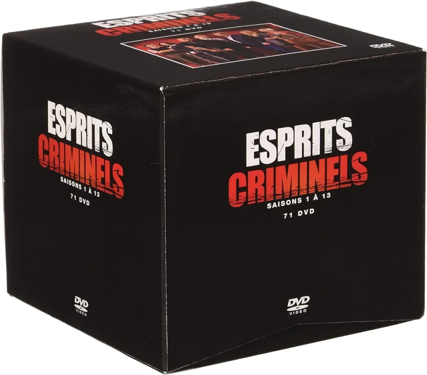 Esprits criminels-L'intégrale Saisons 1-13 [Édition Cube Box]