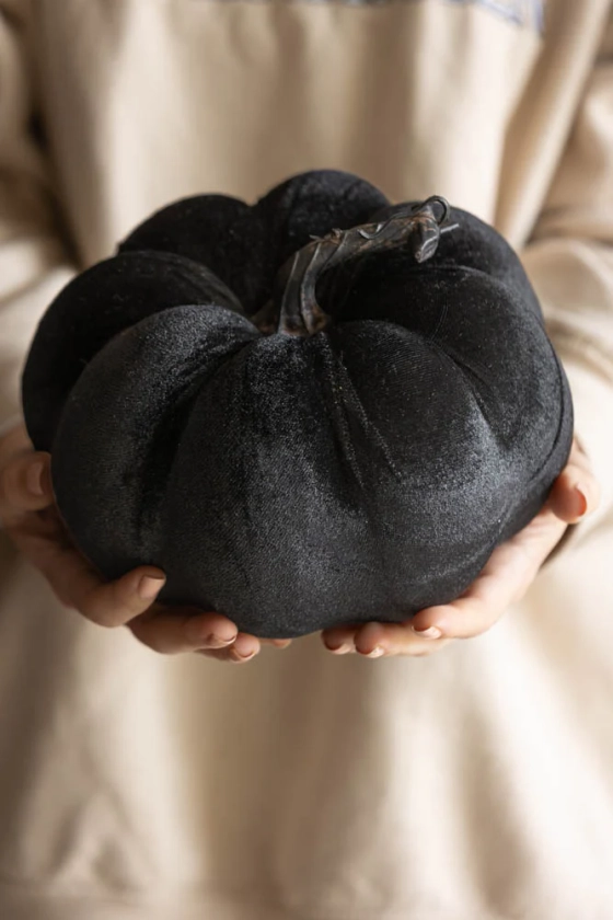 Large Black Velvet Pumpkin