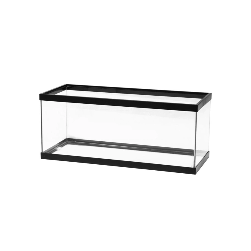 Aqueon Standard Glass Aquarium Tank 20 Gallon Long | Petco | 20 Gallon Fish Tank, 20G Aquarium, 20 Gallon Tank Dimensions, 20G Long Tank