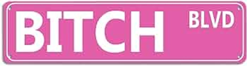 Retro Pink Tin Metal Sign - 'BITCH BLVD' - Bold Statement Decor for Home, Bar, or Dorm - 16x4 Inches - Unique Gift Idea for Friends(B71)