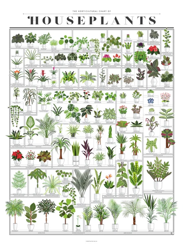 The Horticultural Chart of Houseplants
