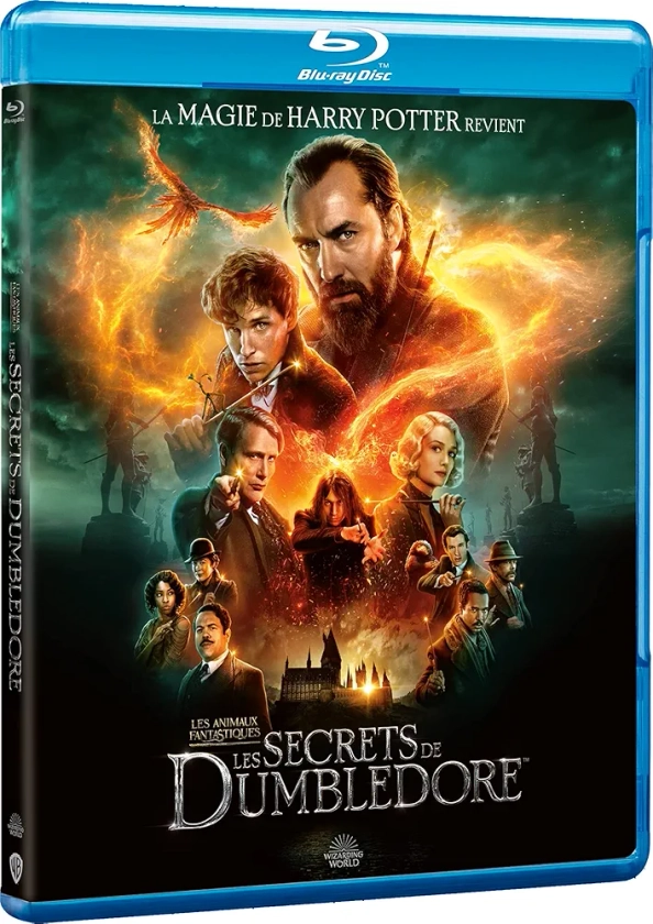 Amazon: Les Animaux fantastiques : Les Secrets de Dumbledore [Blu-Ray]: DVD et Blu-ray: Blu-ray