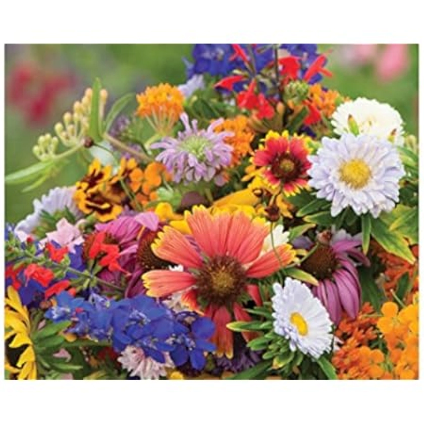 Amazon.com: Save the Bees' Mix Seeds - 4 grams - Annual : Patio, Lawn & Garden