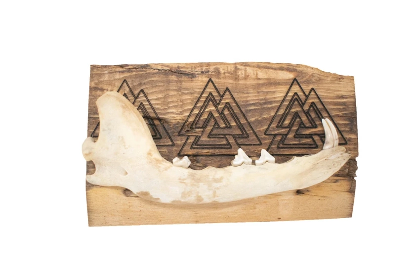 Valknut Jawbone Wall Hanger