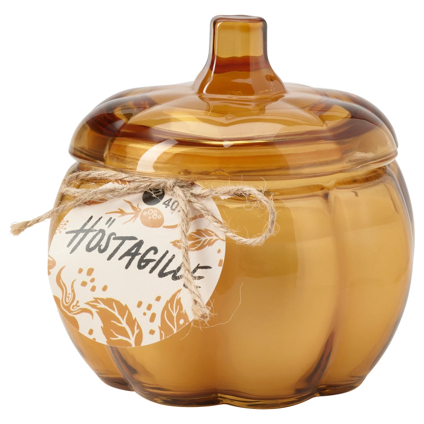 HÖSTAGILLE Bougie parf 2 mèches ds verre - citrouille épicée/brun 40 hr