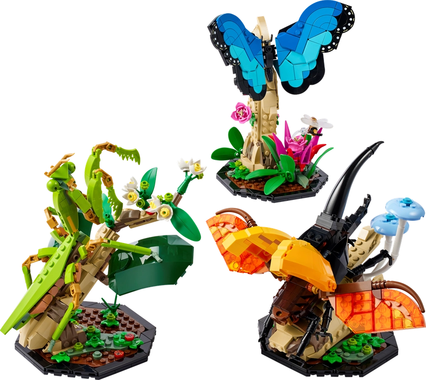 The Insect Collection 21342 | Ideas | Buy online at the Official LEGO® Shop US 