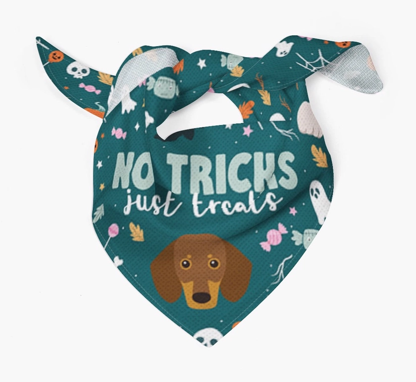 No Tricks Just Treats: Personalised Dachshund Bandana