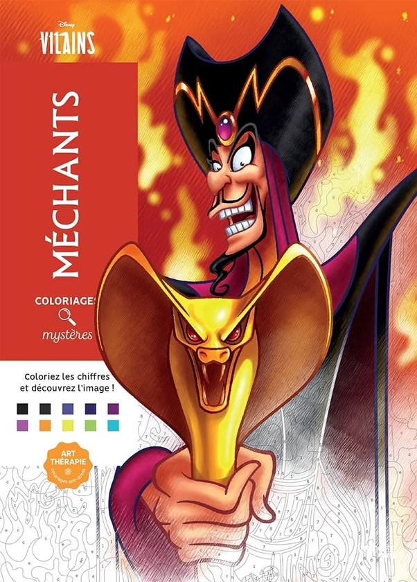 Coloriages mystères Disney Méchants : Mariez, Jérémy: Amazon.fr: Livres