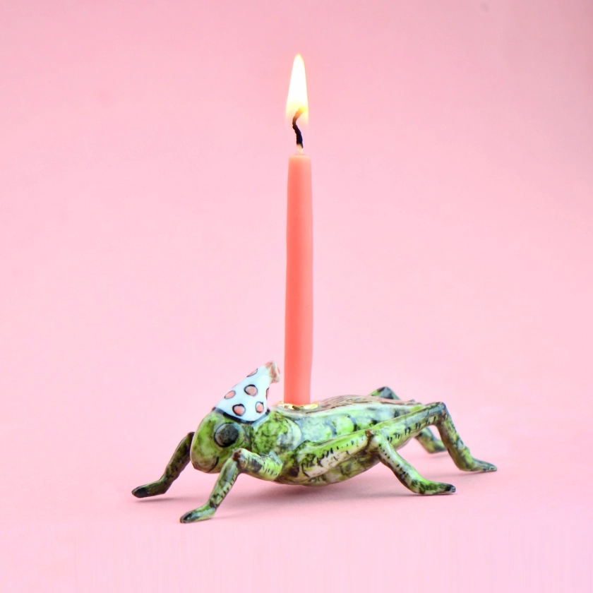 Cricket Cake Topper | Bug Lover Porcelain Birthday Cake Topper