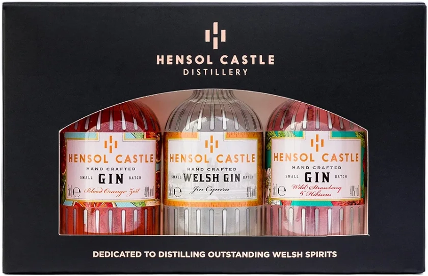 Hensol Castle Distillery Miniature Gin Gift Set | 3 x 5cl Mini Premium Gins, Try our Award Winning Welsh London Dry Gin, Blood Orange Zest Gin and Pink Wild Strawberry & Hibiscus Flavoured Gin Set