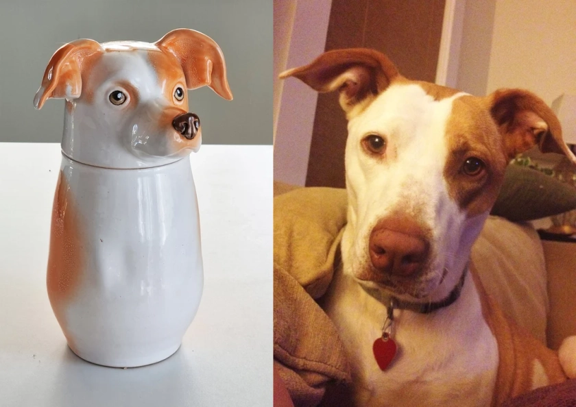 Personalized Cookie Jar With Lid Dog and Cat Pottery Canister Custom Portrait Pet Food Container Cat Treats Storage Canister - Etsy