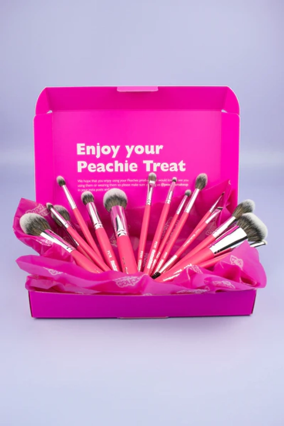 Pink 15 Piece Makeup Brush Set - Peaches and Cream