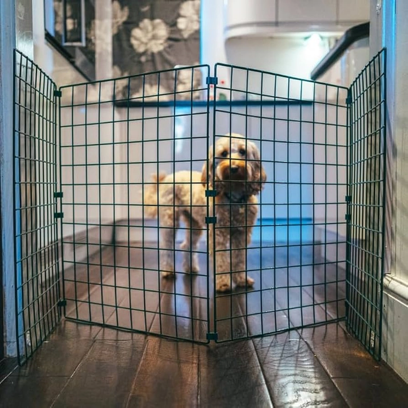 Freestanding Dog Barrier - 2 Panels 60cm-H Room/Hallway Dog Fence Divider, Folding Dog Gate, Dog Fence for Indoors, Puppy Gate, Free Standing Dog Barrier, Adjustable Dog Stopper & Secure Pet Gate