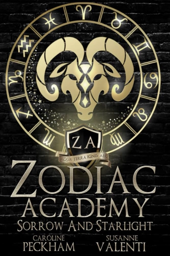 Zodiac Academy 8: Sorrow and Starlight