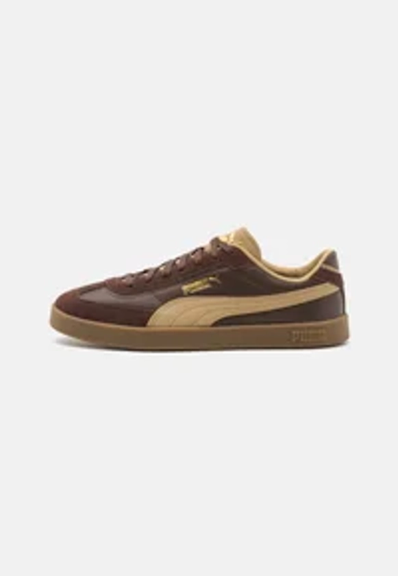 Puma CLUB II ERA - Baskets basses - espresso brown/sand dune/gold/marron - ZALANDO.FR