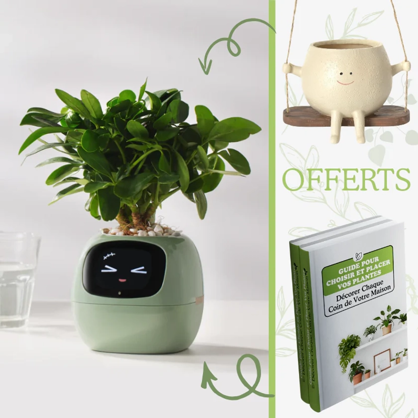 BuddyPlanter™ Ivy | Un coup d'œil pour comprendre tous les besoins de